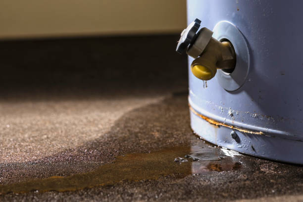 Best Water damage cleanup near me  in Laporte, CO