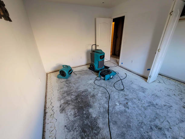 Best 24/7 water damage repair  in Laporte, CO