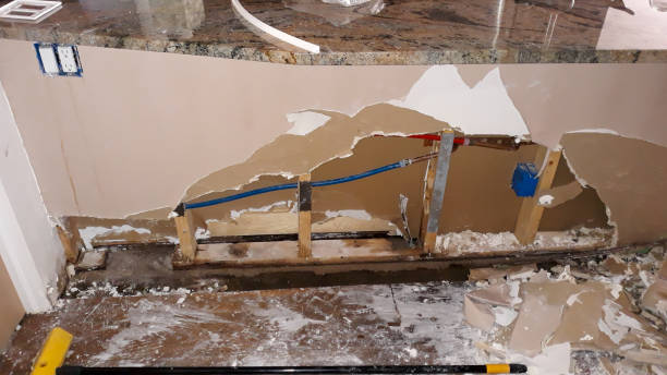 Best Carpet water damage restoration  in Laporte, CO