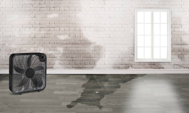 Best Water damage restoration near me  in Laporte, CO