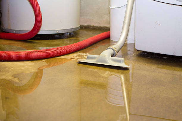 Best Water damage mitigation services  in Laporte, CO