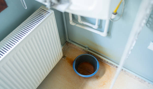  Laporte, CO Water damage restoration Pros