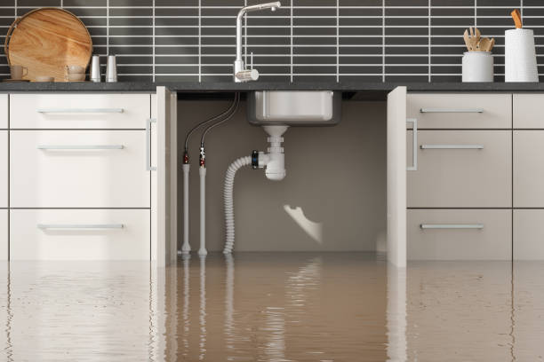 Best Basement water damage restoration  in Laporte, CO