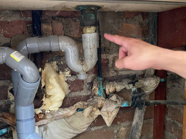 Best Fire Damage Restoration  in Laporte, CO